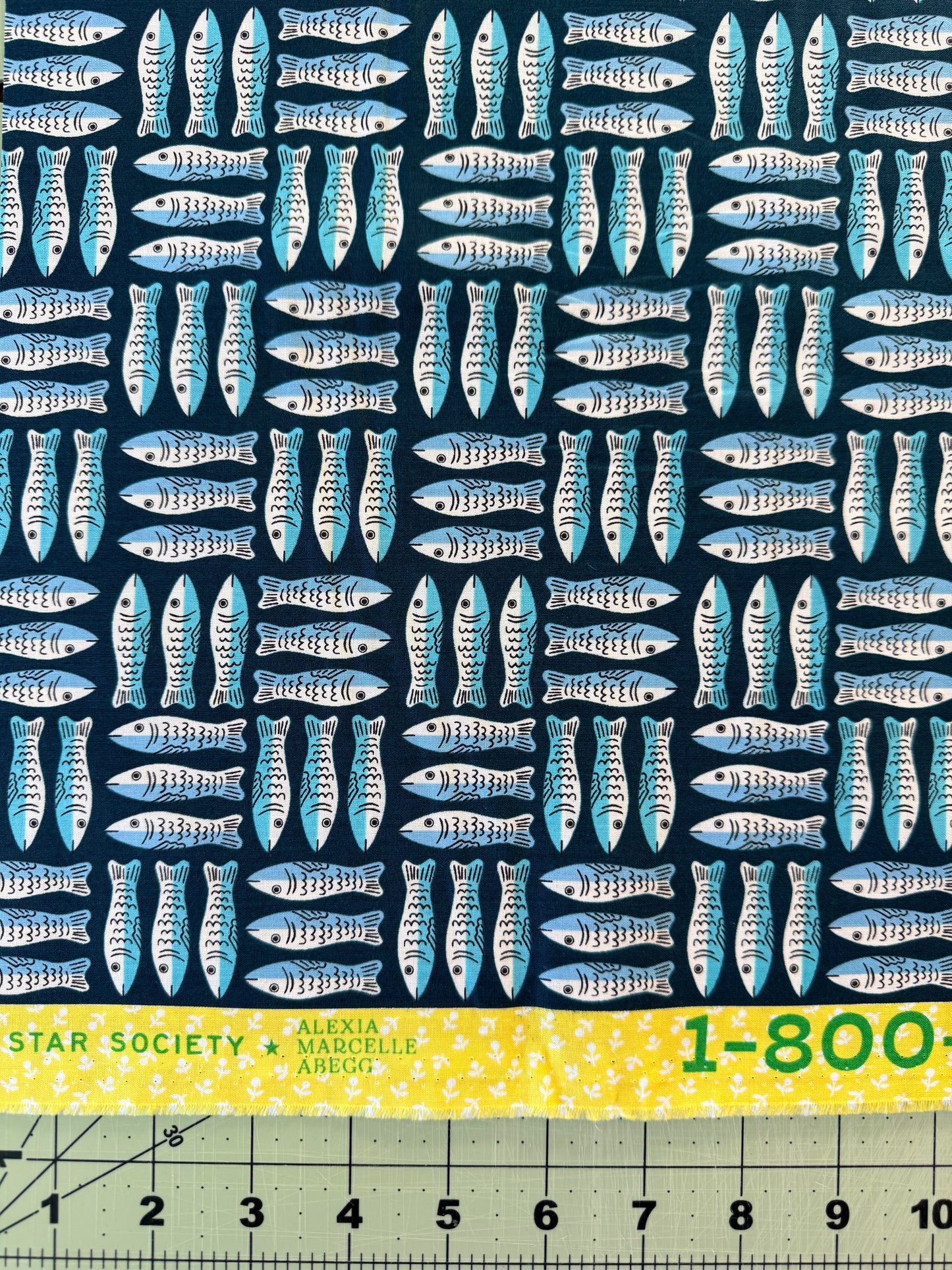 1-800-Calico -Galaxy Sardines -Ruby Star Society