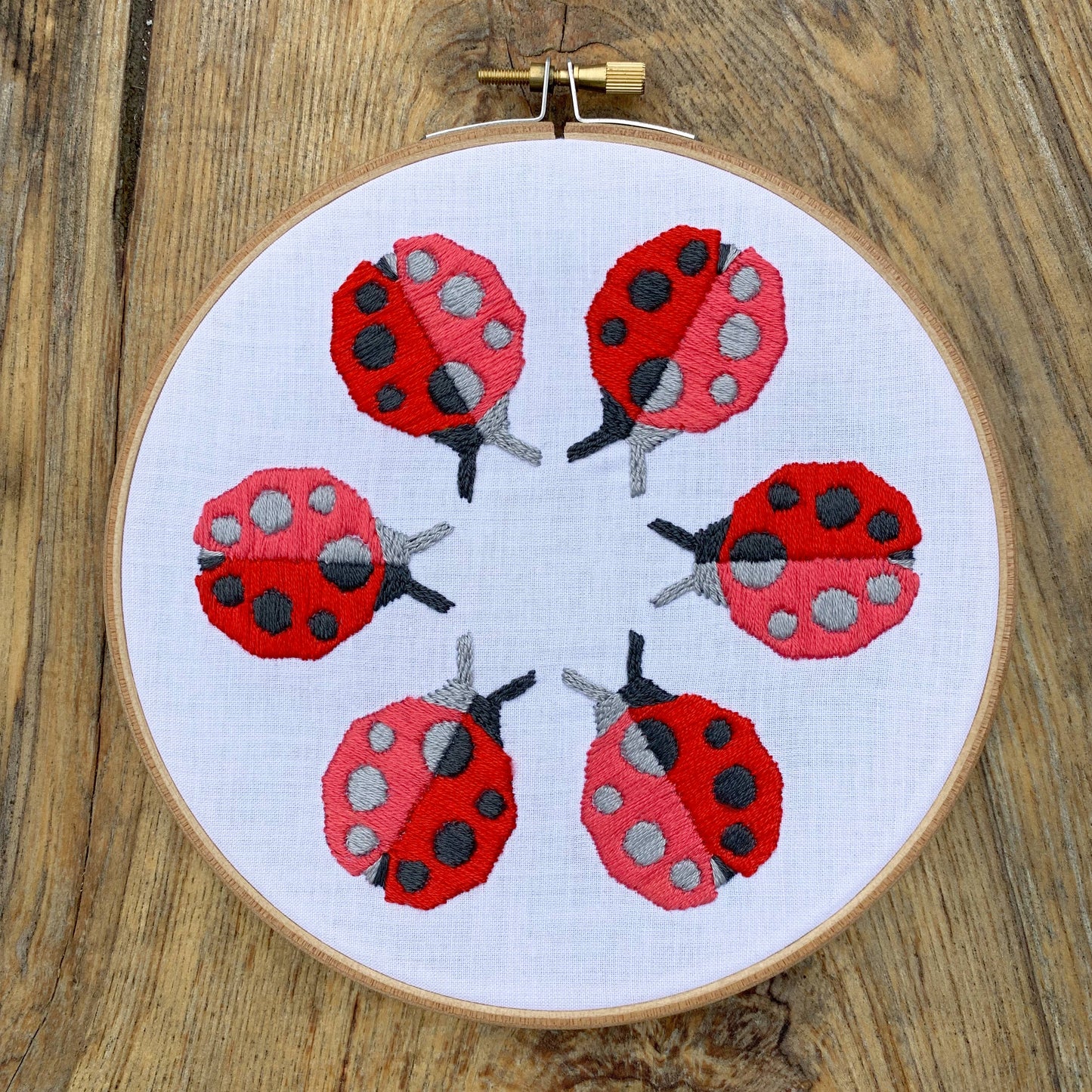 Ladybug Loop Embroidery Kit