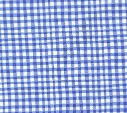 Gingham Play - Cobalt - Michael Miller