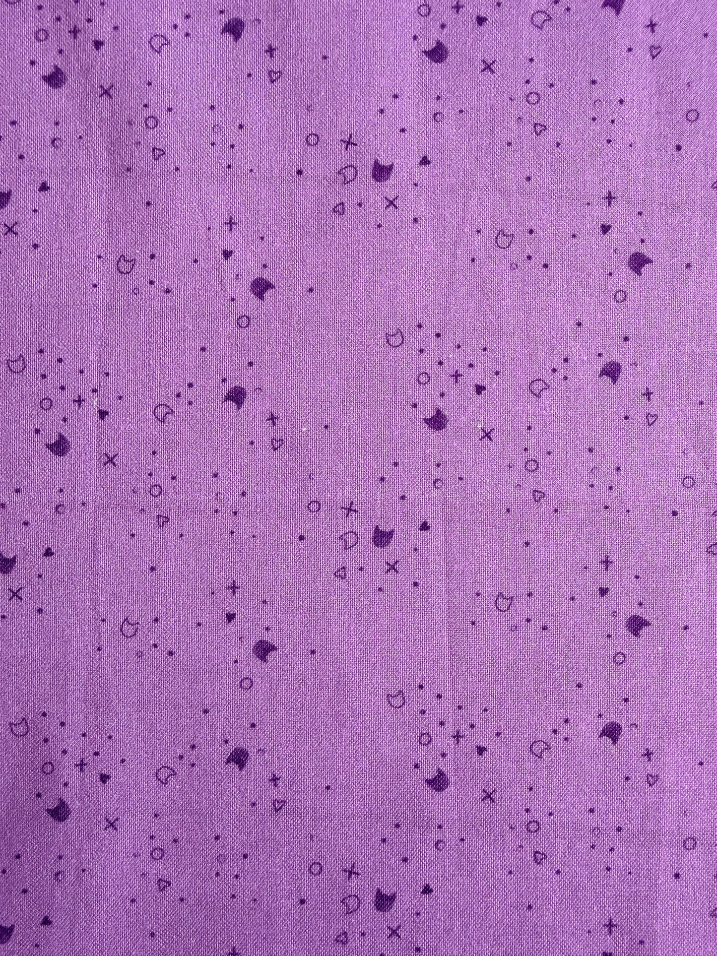 Kitty Litter - Thistle - Dear Stella