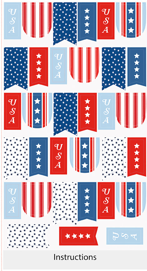 Firecracker Project Panel - Riley Blake Designs