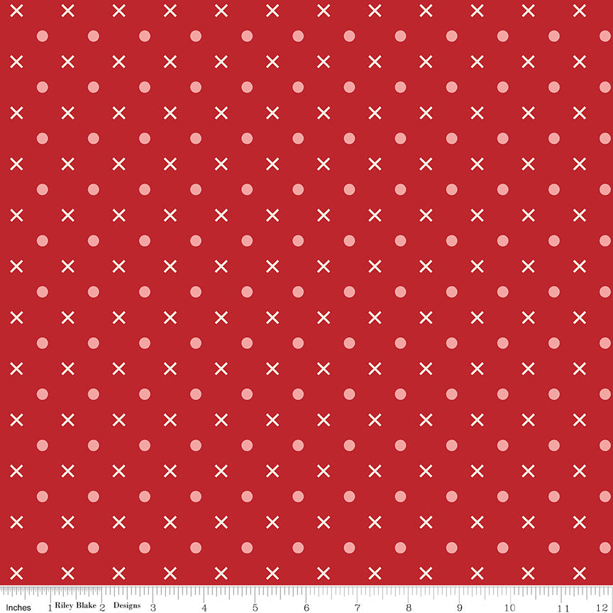 Bee Dots - Schoolhouse - 107/108" Wideback - Riley Blake