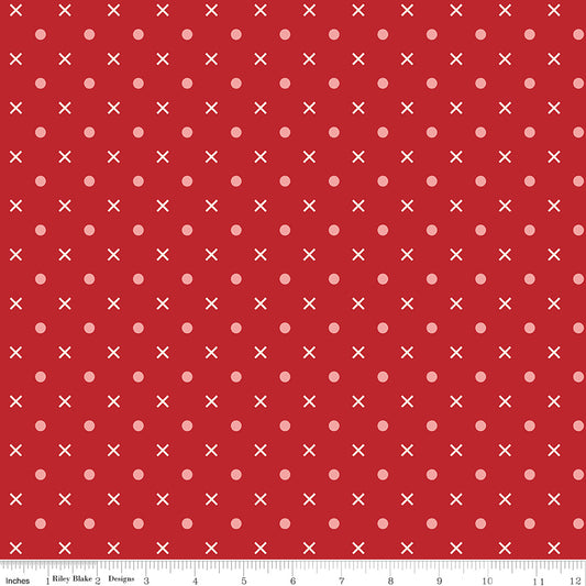 Bee Dots - Schoolhouse - 107/108" Wideback - Riley Blake